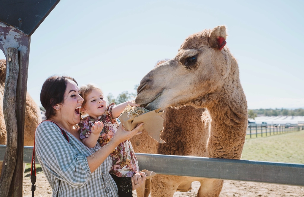Scenic Rim Eat Local Month Image 3