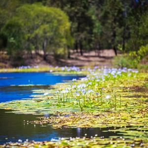 Coombabah Reserve