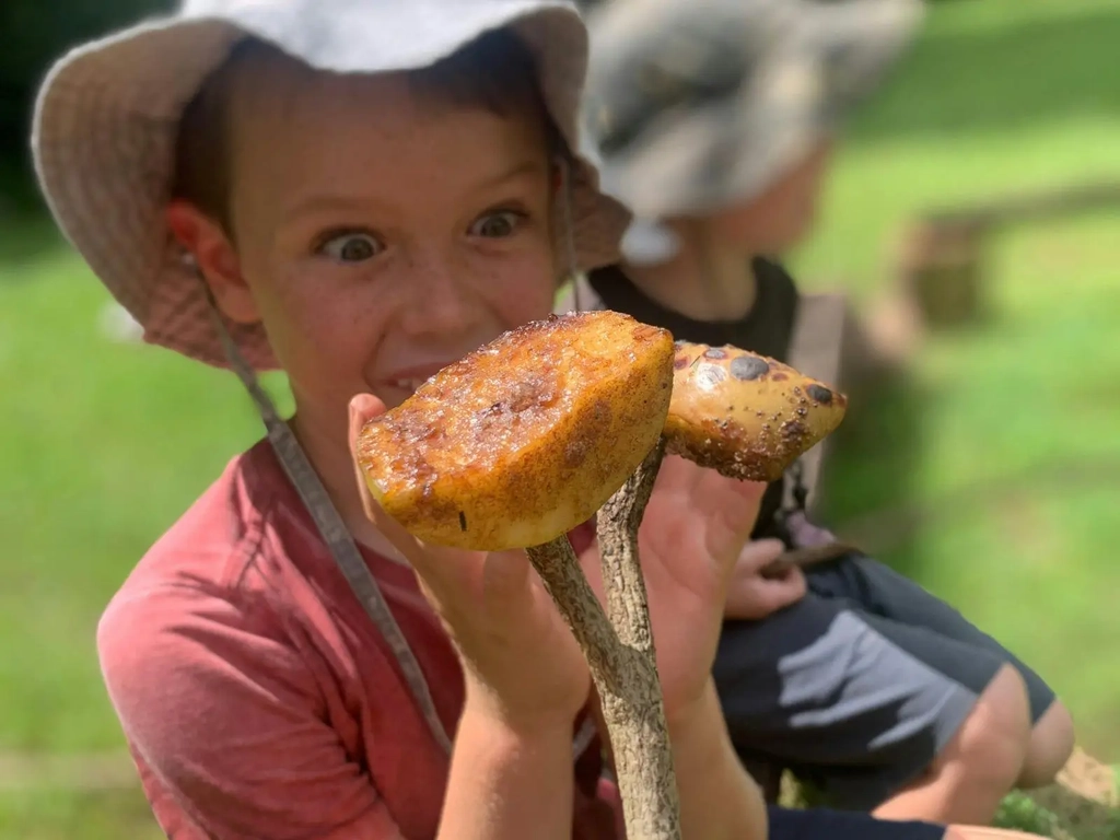 Gold Coast Hinterland Nature Adventures for Kids (School Holidays) Image 3