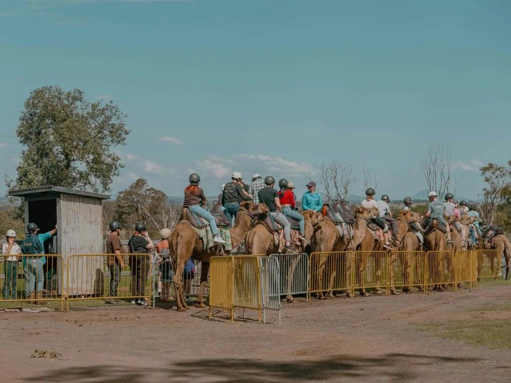 Summer Land Bush Festival Image 9