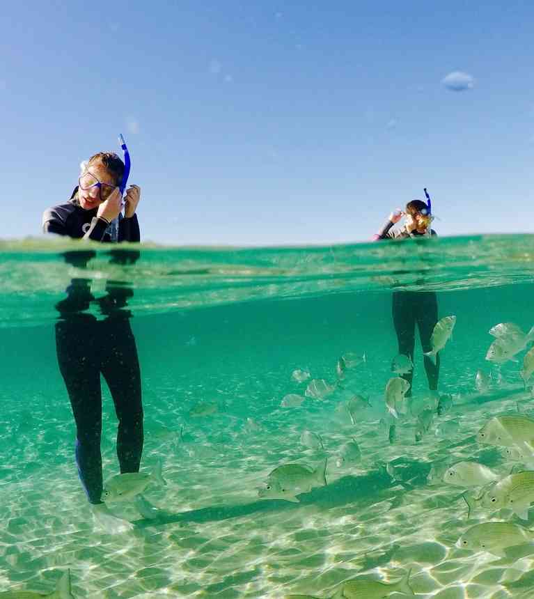 Australian Kayaking Adventures