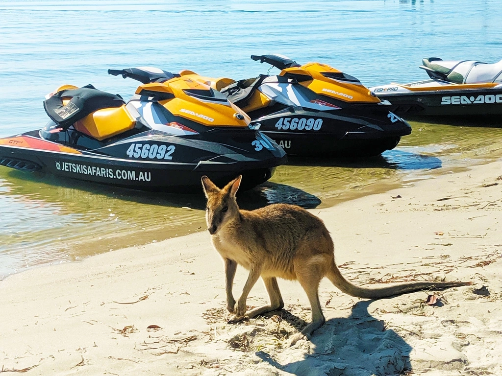 Sth stradbroke island