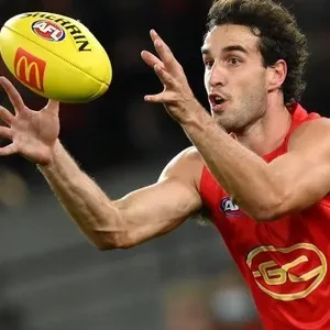 AFL Round 12: Gold Coast Suns v Essendon Image 1