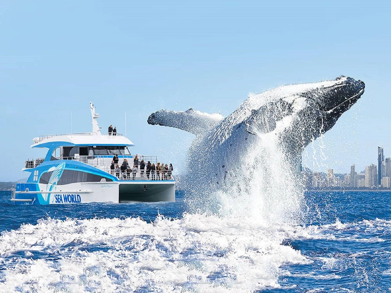 Whale Watch & Stay