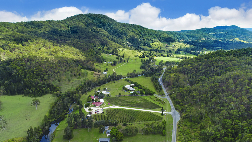 O'Reilly's Canungra Valley Vineyards