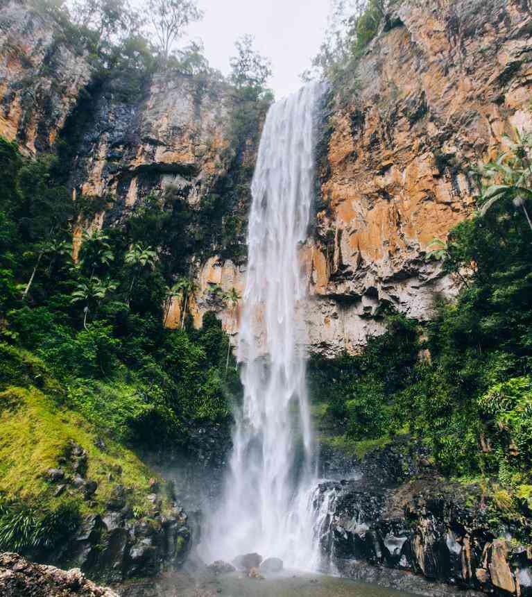 Purlingbrook Falls, Springbrook