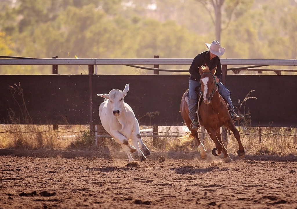Mastery of the Horse - Australian Outback Spectacular Image 2