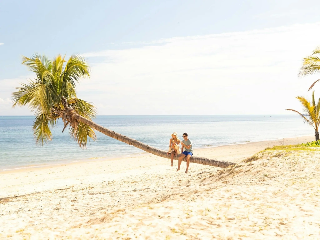 Couple sitting on the Tangalooma Leaning Palm Tree situated on the beach