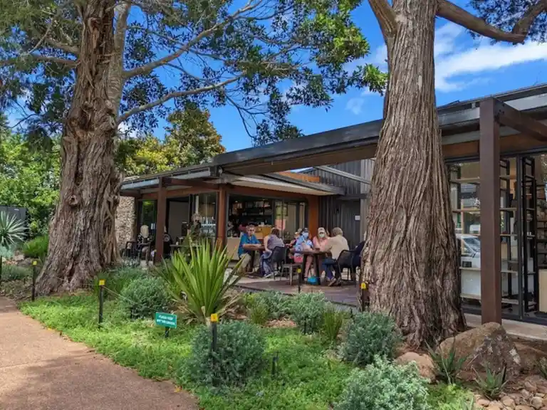 Picnic Real Food Bar Mount Tamborine  Gold Coast Hinterland Scenic Rim