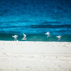 Currumbin Beach