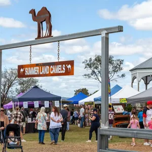 Christmas Markets - Summer Land Camels Image 1