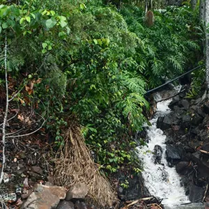 Waterfall down the talweg