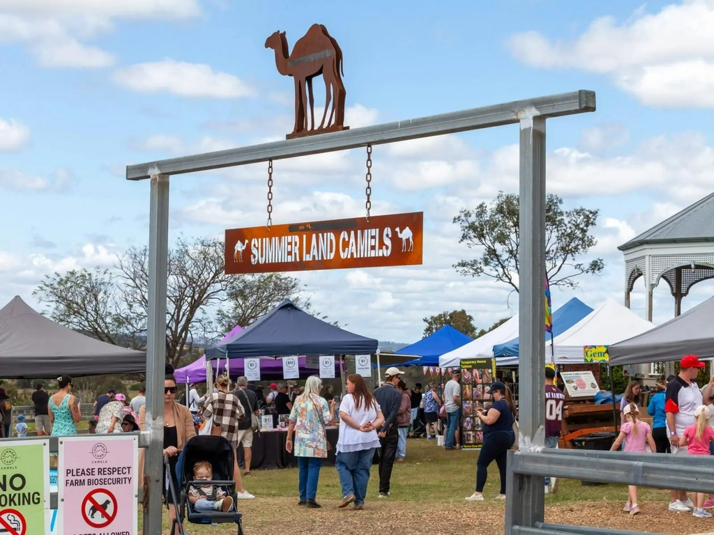 Christmas Markets - Summer Land Camels Image 4