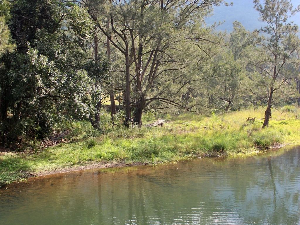 Numinbah Valley