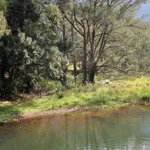 Numinbah Valley