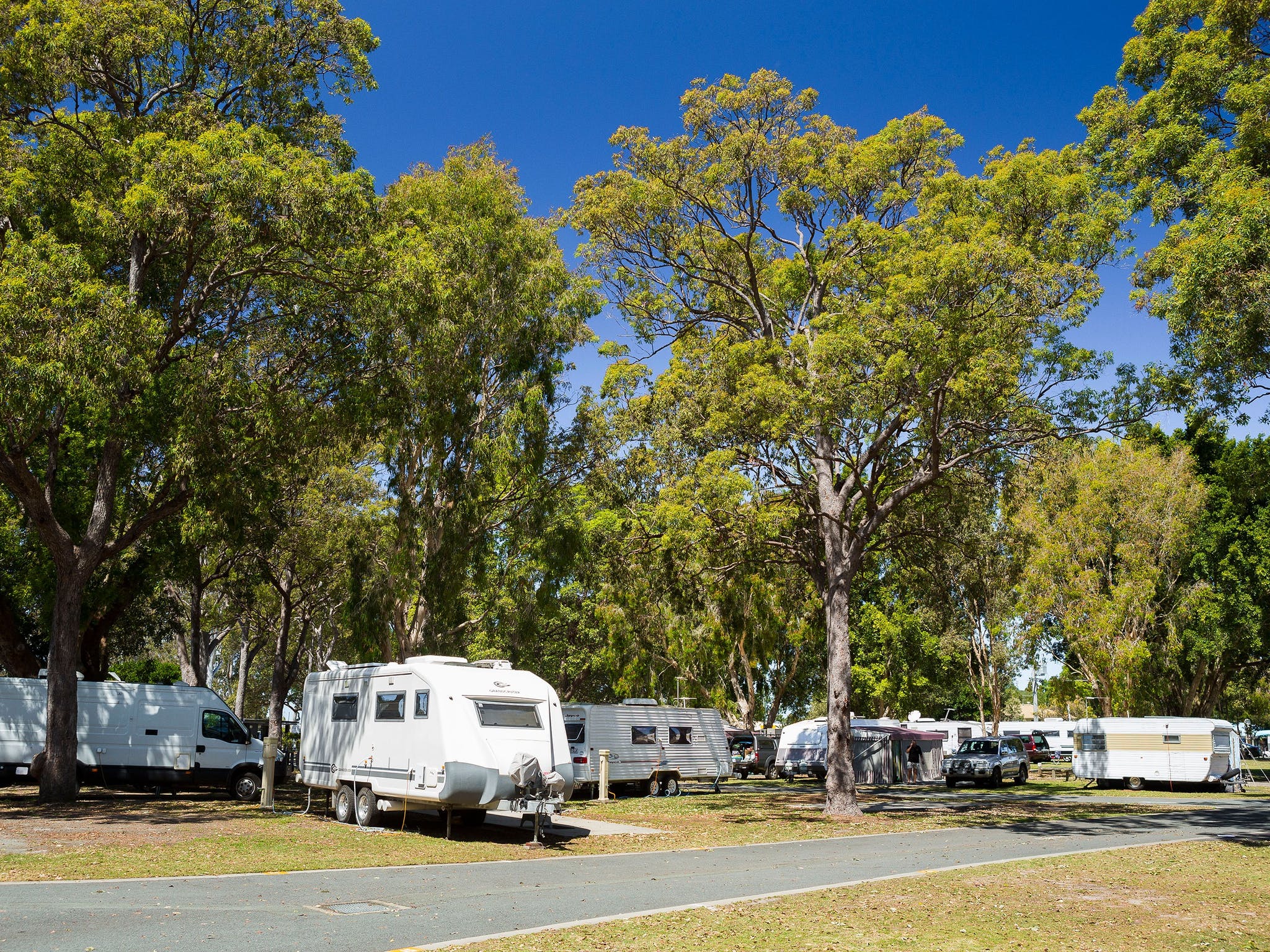Jacobs Well Tourist Park Destination Gold Coast