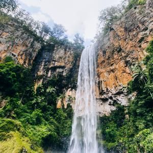 Purlingbrook Falls, Springbrook