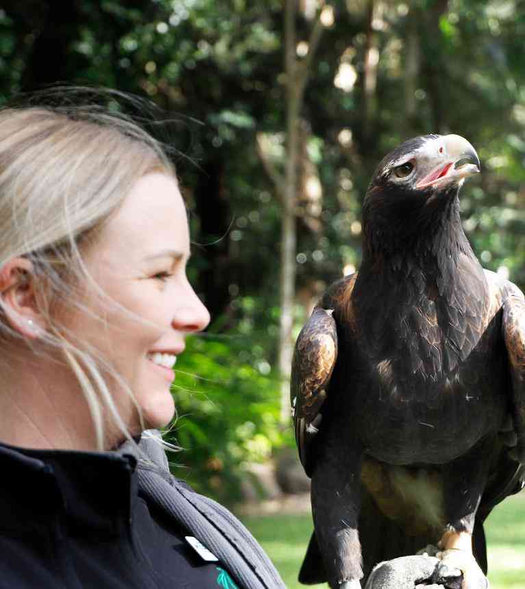 Currumbin Wildlife Sanctuary - TIGC21