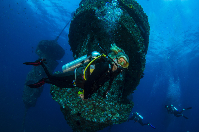 Wonder Reef
