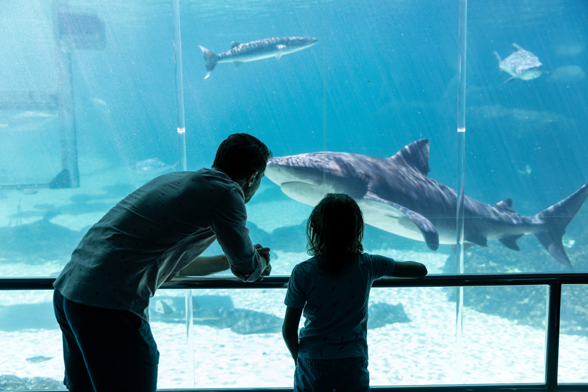 Sea World