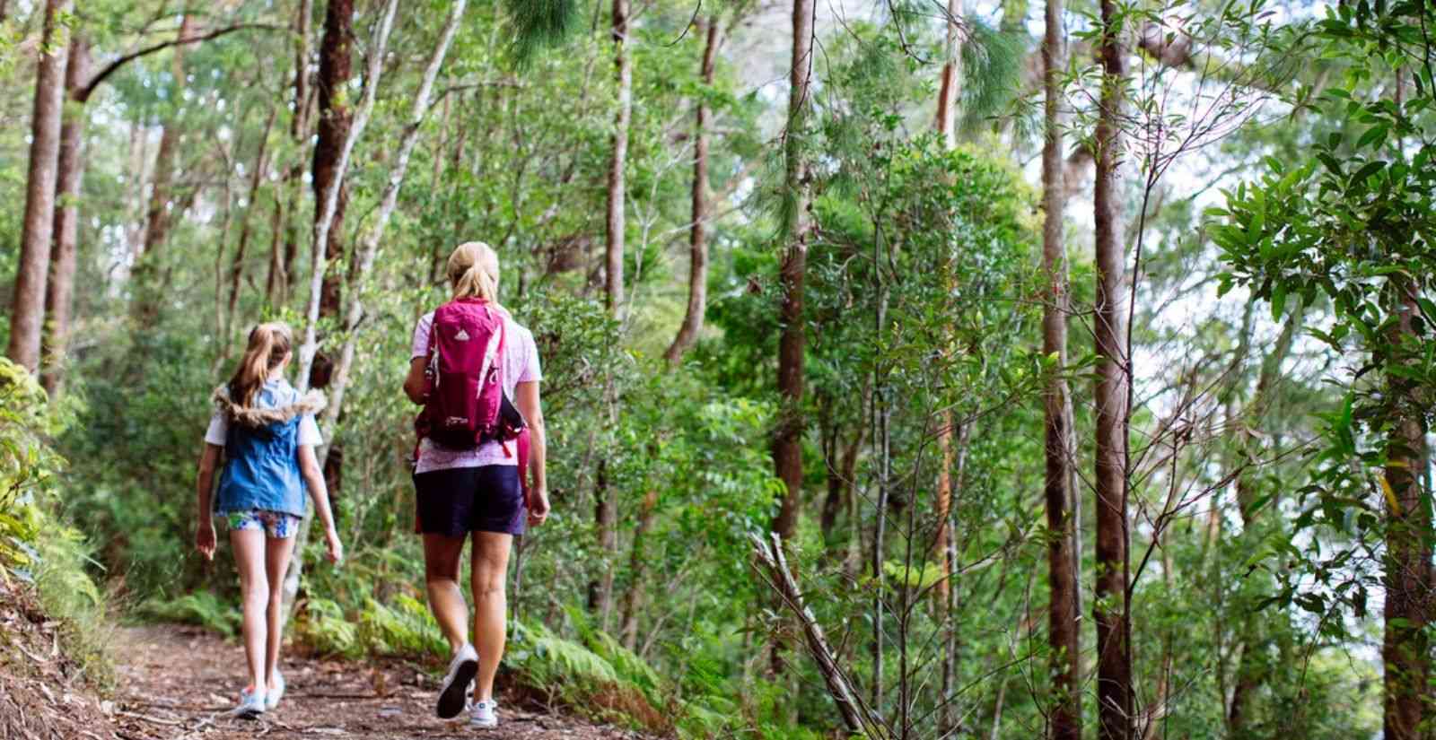 Walk On The Wild Side: 5 Easy Nature Walks On The Gold Coast