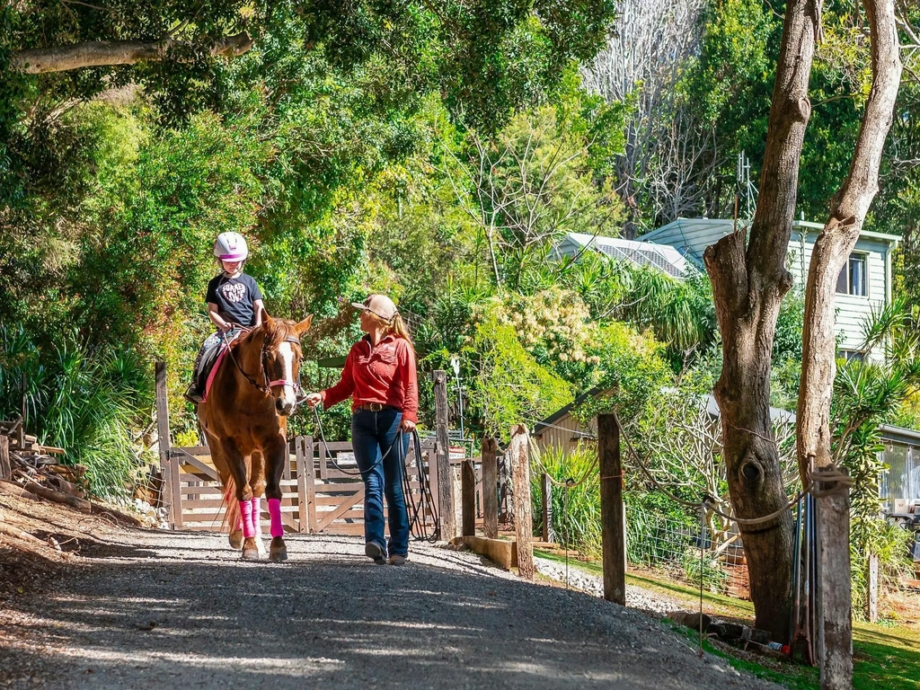Visit the horses