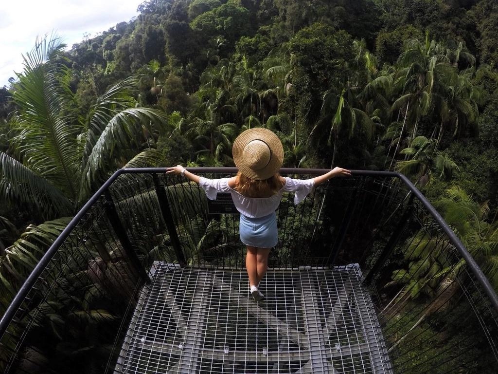 Skywalk Mount Tamborine