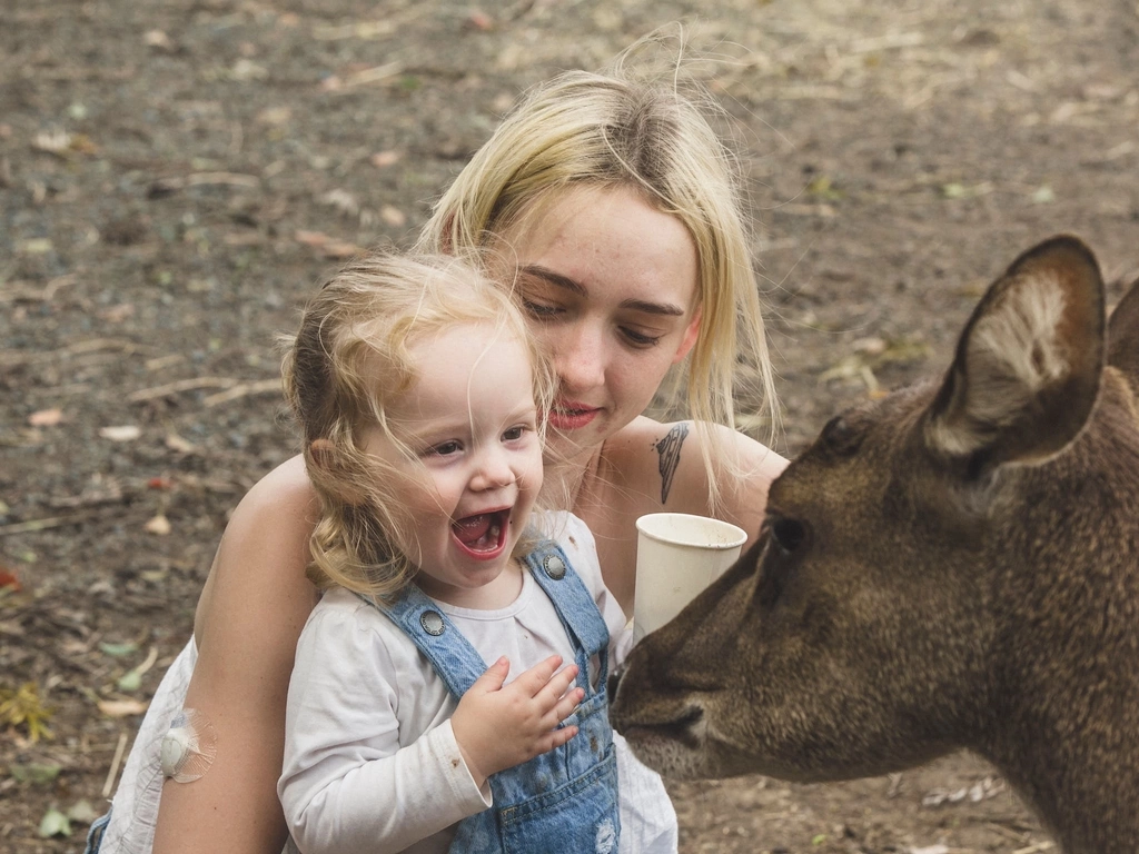 Deer feeding experience! Don't miss it!