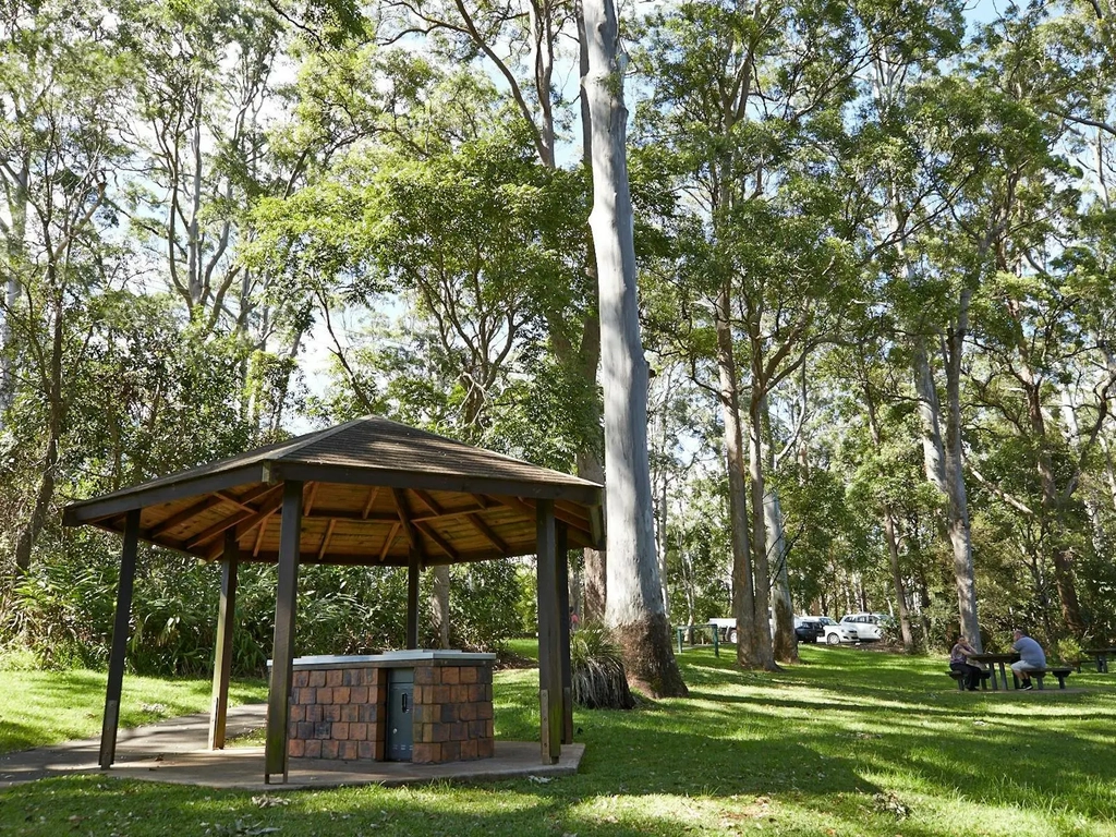 Picnic shelter in a forest picnic area beneath tall trees.