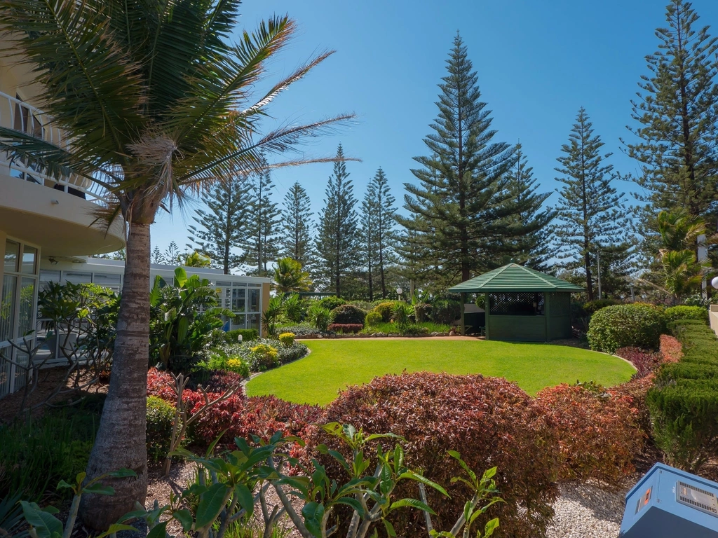 Burleigh Surf