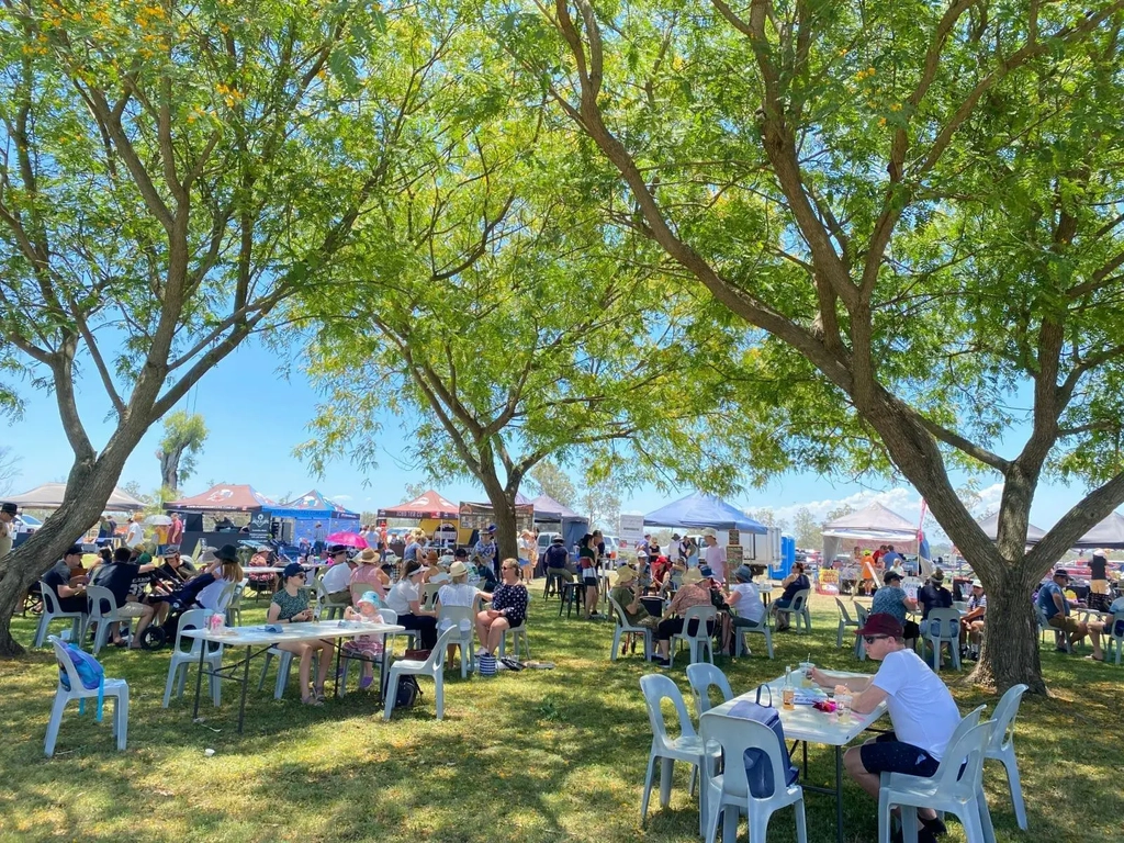 Spring  Markets - Summer Land Camels Image 1