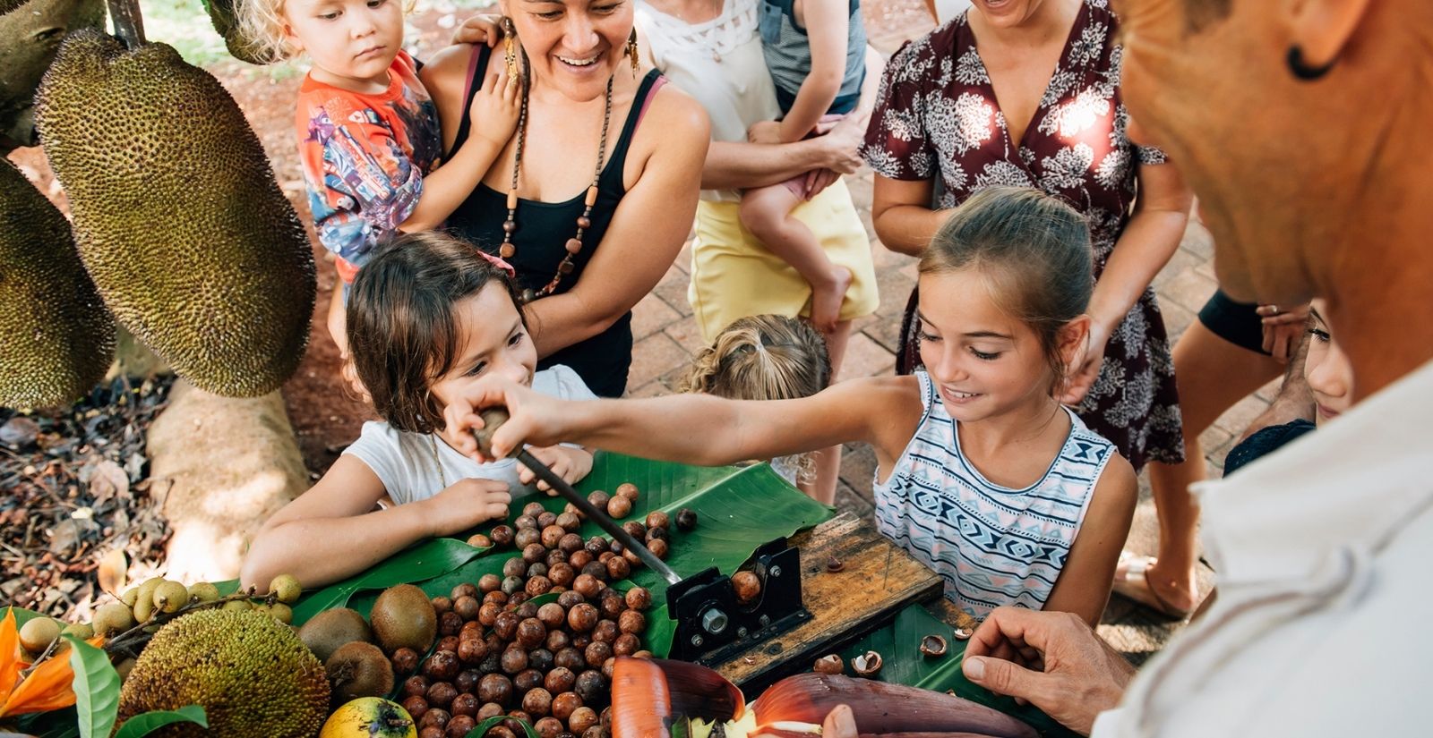 Hidden Gems of the Gold Coast