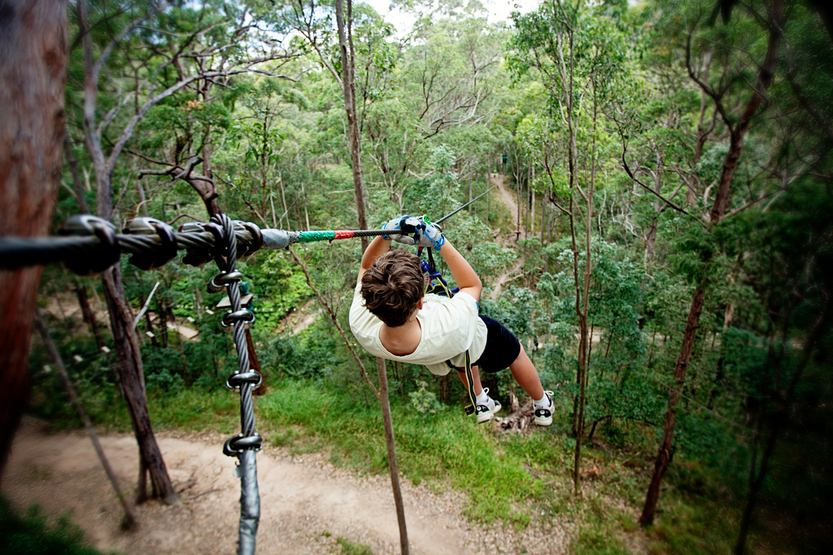 Tree Top Challenge Tamborine Mountain