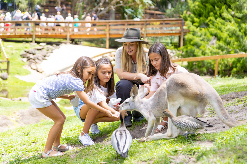 Currumbin Wildlife Sanctuary