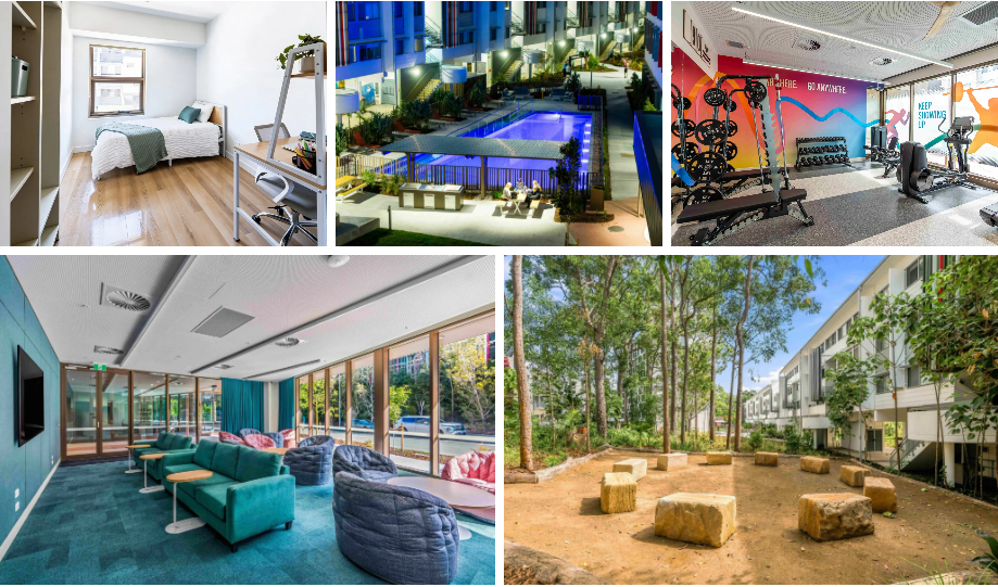 Griffith University delivers 460 new beds.png