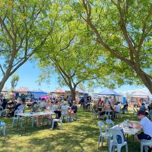 Winter Markets - Summer Land Camels Image 1