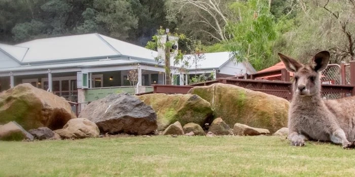 Father’s Day at Currumbin Wildlife Sanctuary Image 1