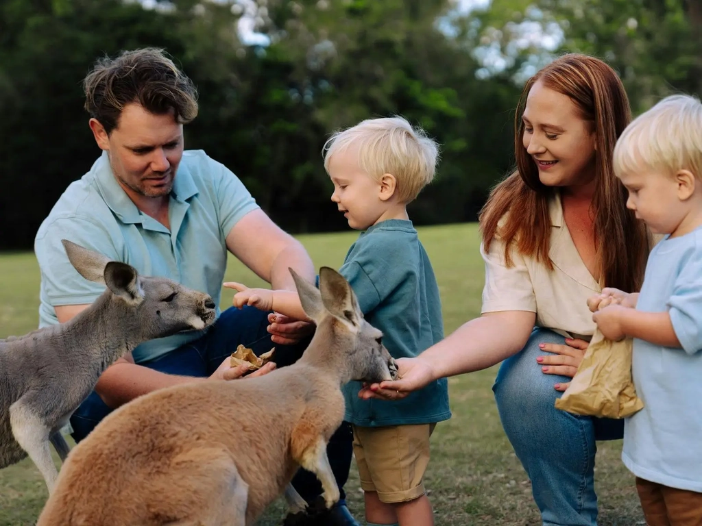 Family hand feeding kangaroos