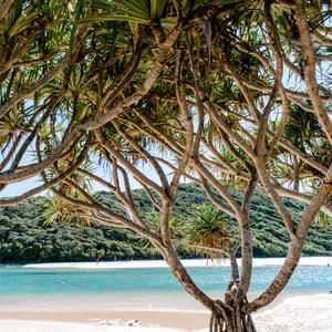 Tallebudgera Creek