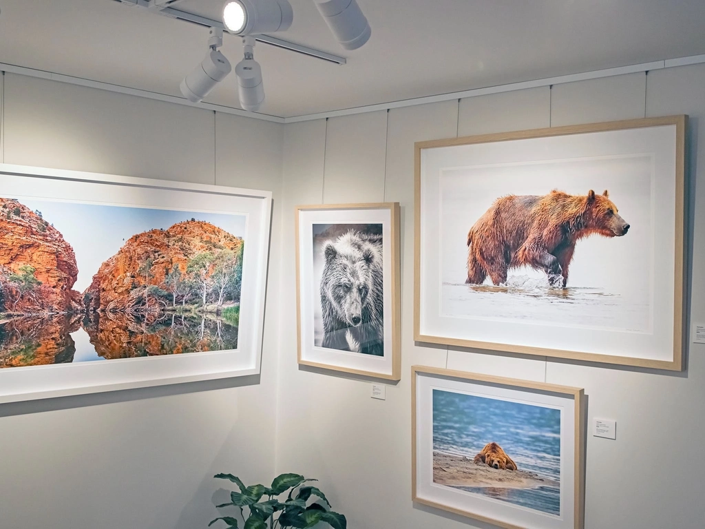 This is some of the wildlife photos on display.