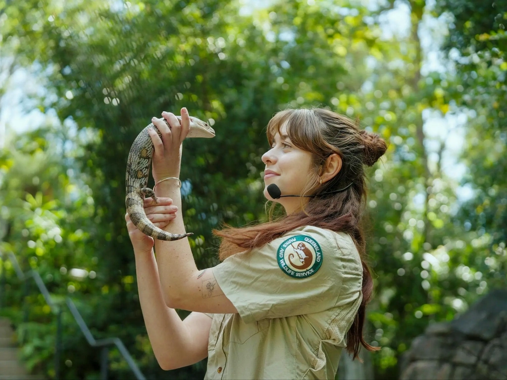 A Ranger doing a wildlife talk, while holding up a blue-tongue lizard