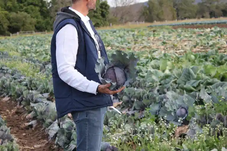 Pick Your Own and Meet the Farmer Image 1