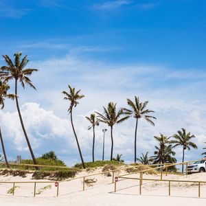 GOLD COAST SURF CLUBS TO GRAB A COLD ONE