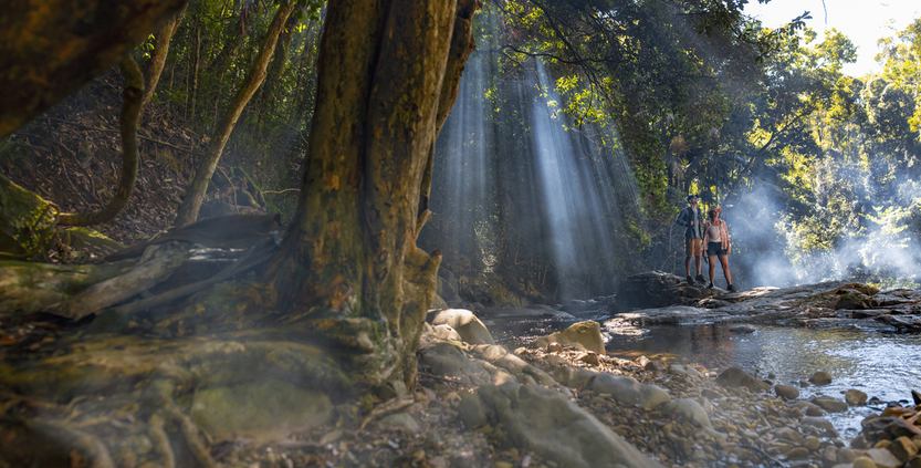 Cougal Cascades, Currumbin Valley