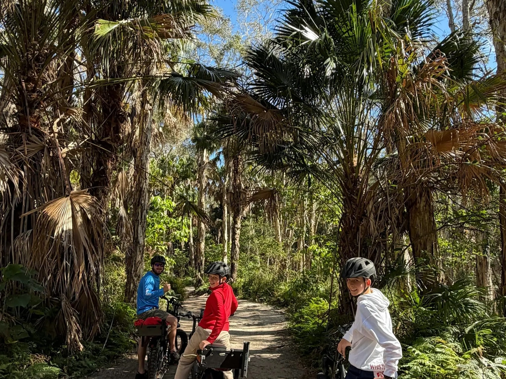 Group riding through the coastal rainforest on South Stradbroke Island.