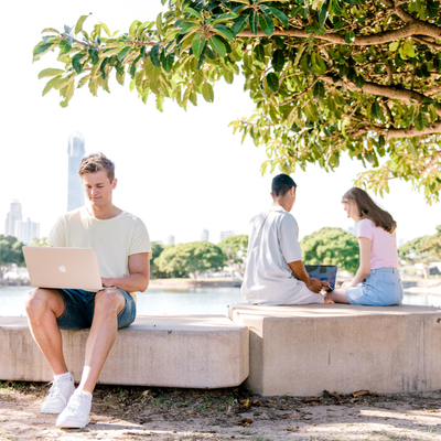 Students studying outside