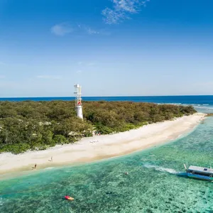 Lady Elliot Island