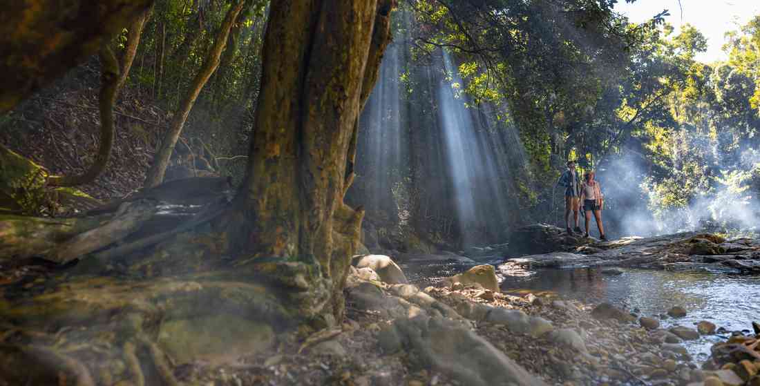 Sustainable Travel: Your Gold Coast Eco-Tourism Guide