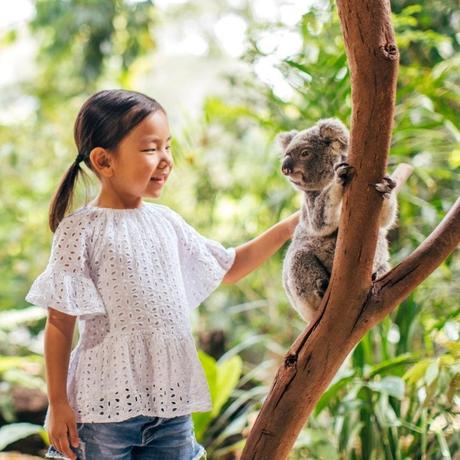 Your Ultimate Guide To Currumbin Wildlife Sanctuary
