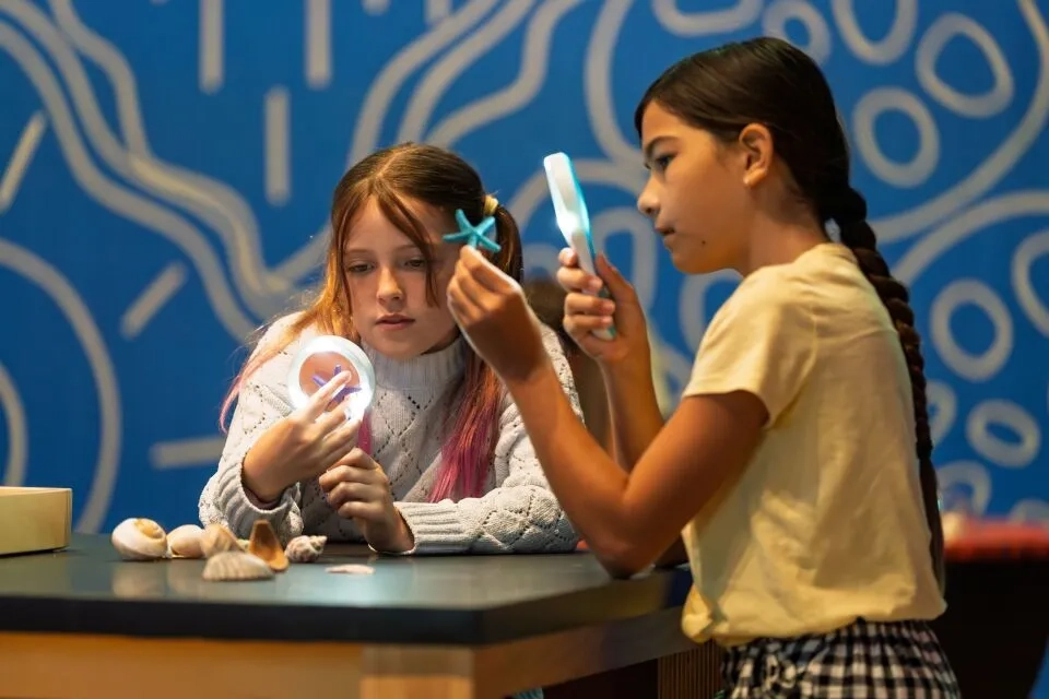 Aka Sorbie: Saltwater Heart Image 6